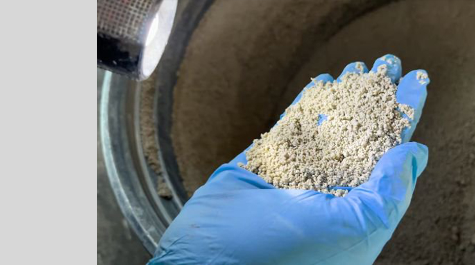 Bentonite Granules Making Machine